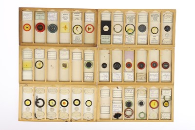 Lot 531 - Large Collection of Microscope Slides