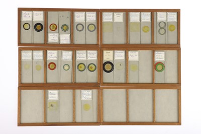 Lot 531 - Large Collection of Microscope Slides