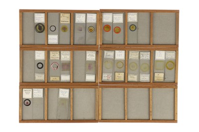 Lot 532 - Large Collection of Microscope Slides