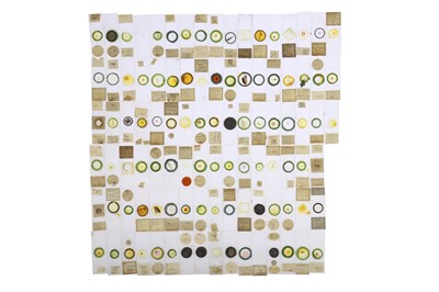 Lot 532 - Large Collection of Microscope Slides