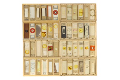 Lot 532 - Large Collection of Microscope Slides