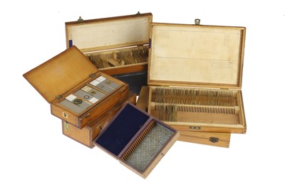 Lot 532 - Large Collection of Microscope Slides