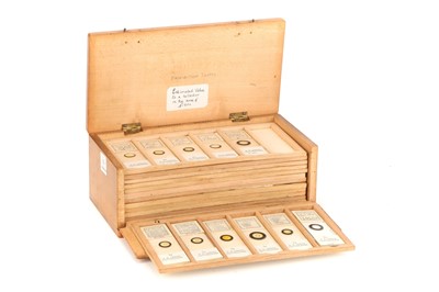 Lot 51 - A Very Good Collection of Arranged and Exhibition Diatom Microscope Slides