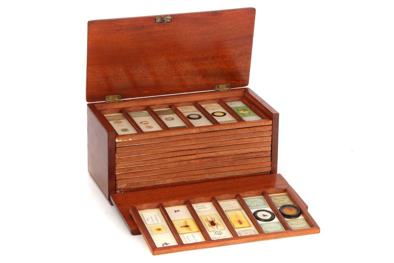 Lot 52 - Collection of Various Microscope Slides