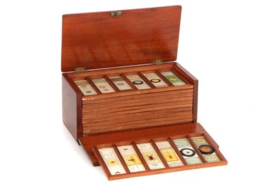 Lot 52 - Collection of Various Microscope Slides