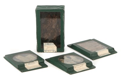 Lot 55 - A Collection of 4 Deep Cell Microscope Slides
