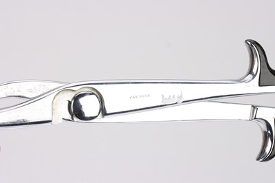 Lot 495 - Surgical Instruments - Destructive Obstetrics