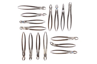 Lot 457 - An Unusual Collection of Teaching? Dental Forceps