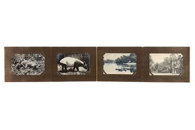 Lot 311 - Postcards. Singapore