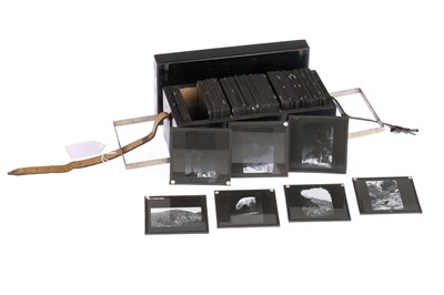 Lot 603 - Collection of Magic Lantern Slides - Ceylon & Tea Production