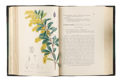 Lot 1220 - Bentley & Trimen, Medicinal Plants