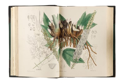 Lot 1220 - Bentley & Trimen, Medicinal Plants