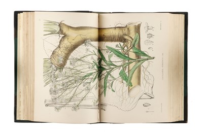Lot 1220 - Bentley & Trimen, Medicinal Plants