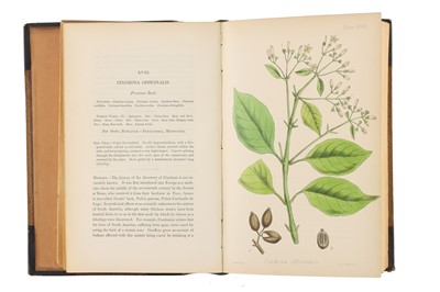 Lot 218 - Hamilton, Edward, The Flora Homoeopathica