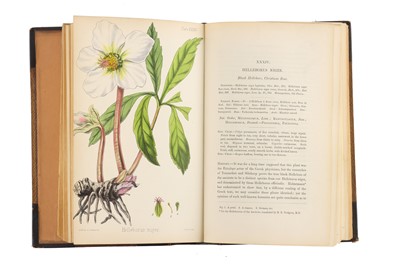 Lot 218 - Hamilton, Edward, The Flora Homoeopathica