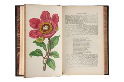 Lot 425 - Collection of 19th Century Books On Botany