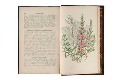 Lot 425 - Collection of 19th Century Books On Botany
