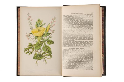 Lot 425 - Collection of 19th Century Books On Botany