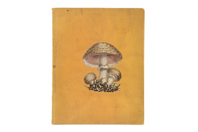 Lot 426 - Sowerby, James, Poisonous Fungi