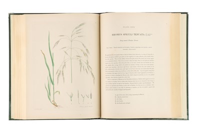 Lot 227 - Knapp, J., L., Gramina Britannica; or Representations of the British Grasses