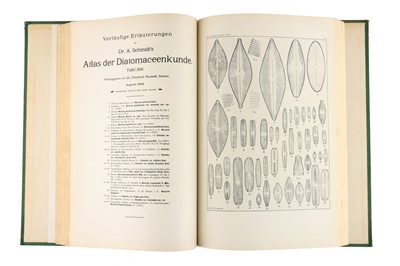 Lot 238 - Atlas der Diatomaceen-Kunde.
