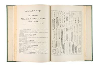 Lot 238 - Atlas der Diatomaceen-Kunde.