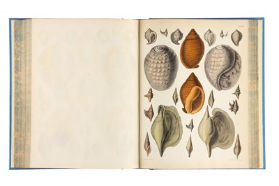 Lot 229 - Brown, Captain Thomas, Illustrations of the Fossil Conchology of Great Britain