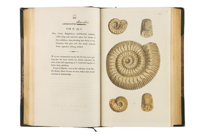 Lot 1242 - Sowerby, James, The  Mineral Conchology of Great Britain