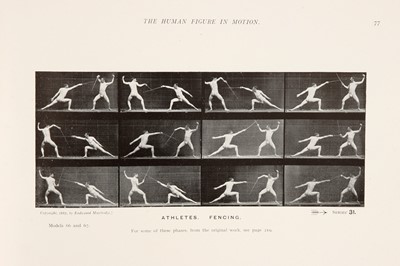 Lot 317 - Muybridge, Eadweard, The Human Figure in Motions