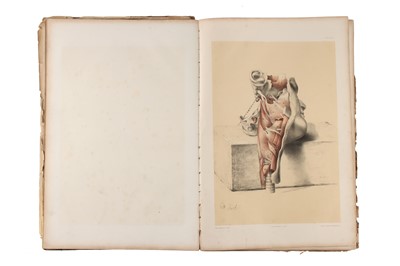 Lot 244 - Ellis, George Viner, Illustrations of Dissections, 1867