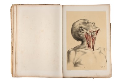 Lot 244 - Ellis, George Viner, Illustrations of Dissections, 1867