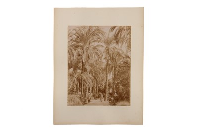 Lot 56 - A Good Collection of 44 Egyptian Albumen Photographs