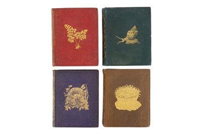 Lot 204 - Collection of 10 Reeve and Benham 'Popular ' Series of Natural History books