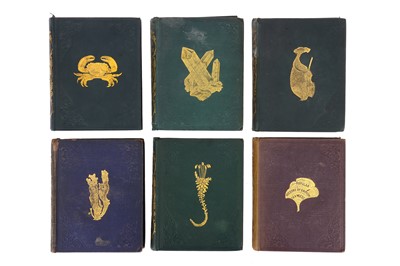 Lot 204 - Collection of 10 Reeve and Benham 'Popular ' Series of Natural History books