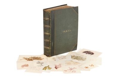 Lot 1234 - A Large & Well Annotated Mid 19th Century Album of Pressed Ferns