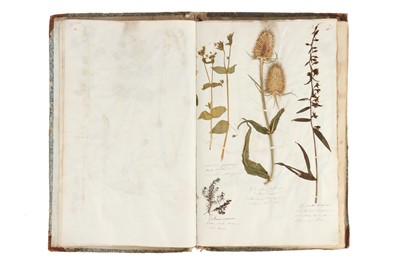 Lot 221 - A Large Album of Pressed Plants well Annotated