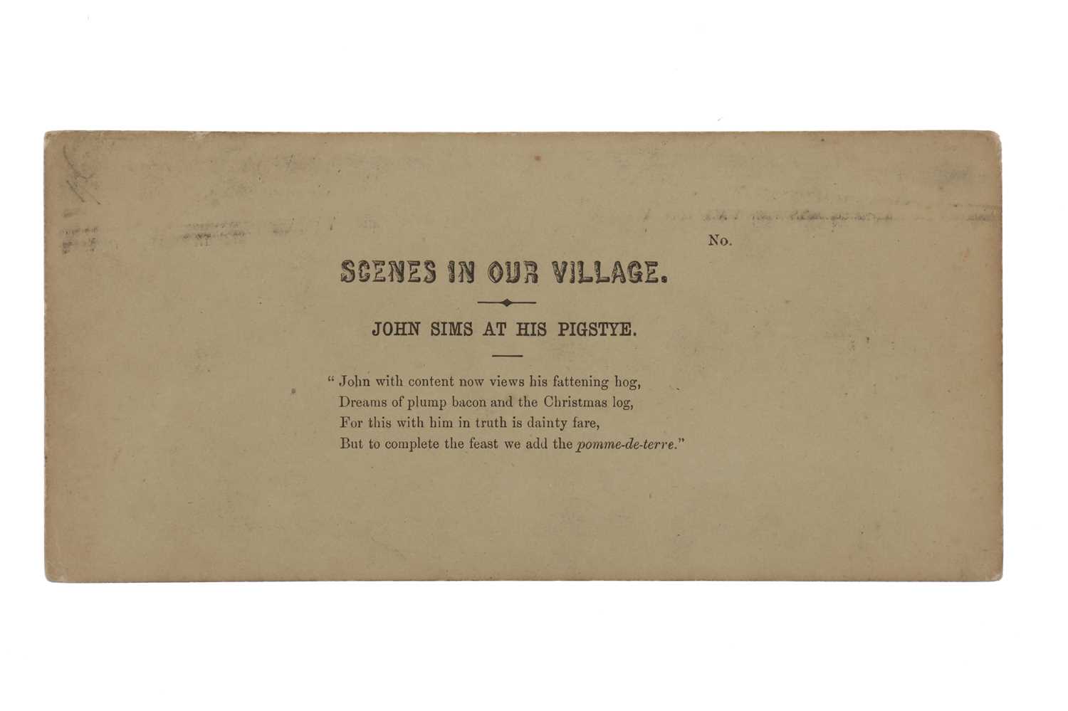 Lot 143 - T. R. Williams Stereocard, Scenes in Our