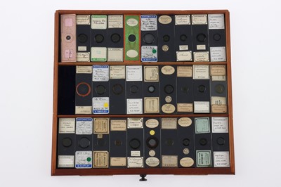 Lot 153 - Large Cabinet of fine Victorian Microscope Slides