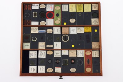 Lot 153 - Large Cabinet of fine Victorian Microscope Slides