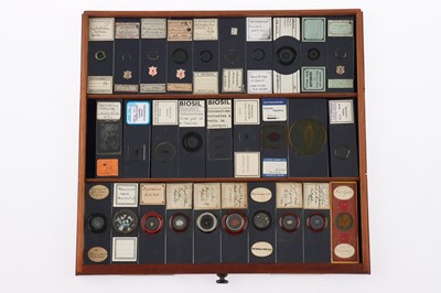 Lot 153 - Large Cabinet of fine Victorian Microscope Slides
