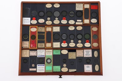 Lot 153 - Large Cabinet of fine Victorian Microscope Slides