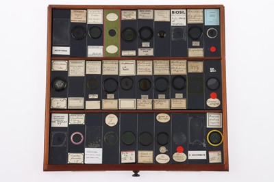Lot 153 - Large Cabinet of fine Victorian Microscope Slides