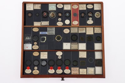 Lot 153 - Large Cabinet of fine Victorian Microscope Slides