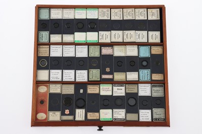 Lot 153 - Large Cabinet of fine Victorian Microscope Slides