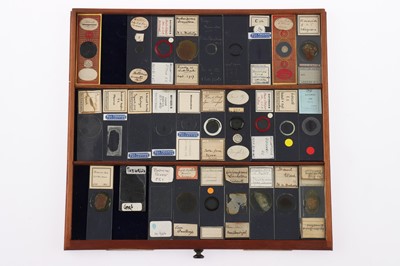 Lot 153 - Large Cabinet of fine Victorian Microscope Slides