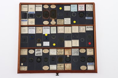 Lot 153 - Large Cabinet of fine Victorian Microscope Slides
