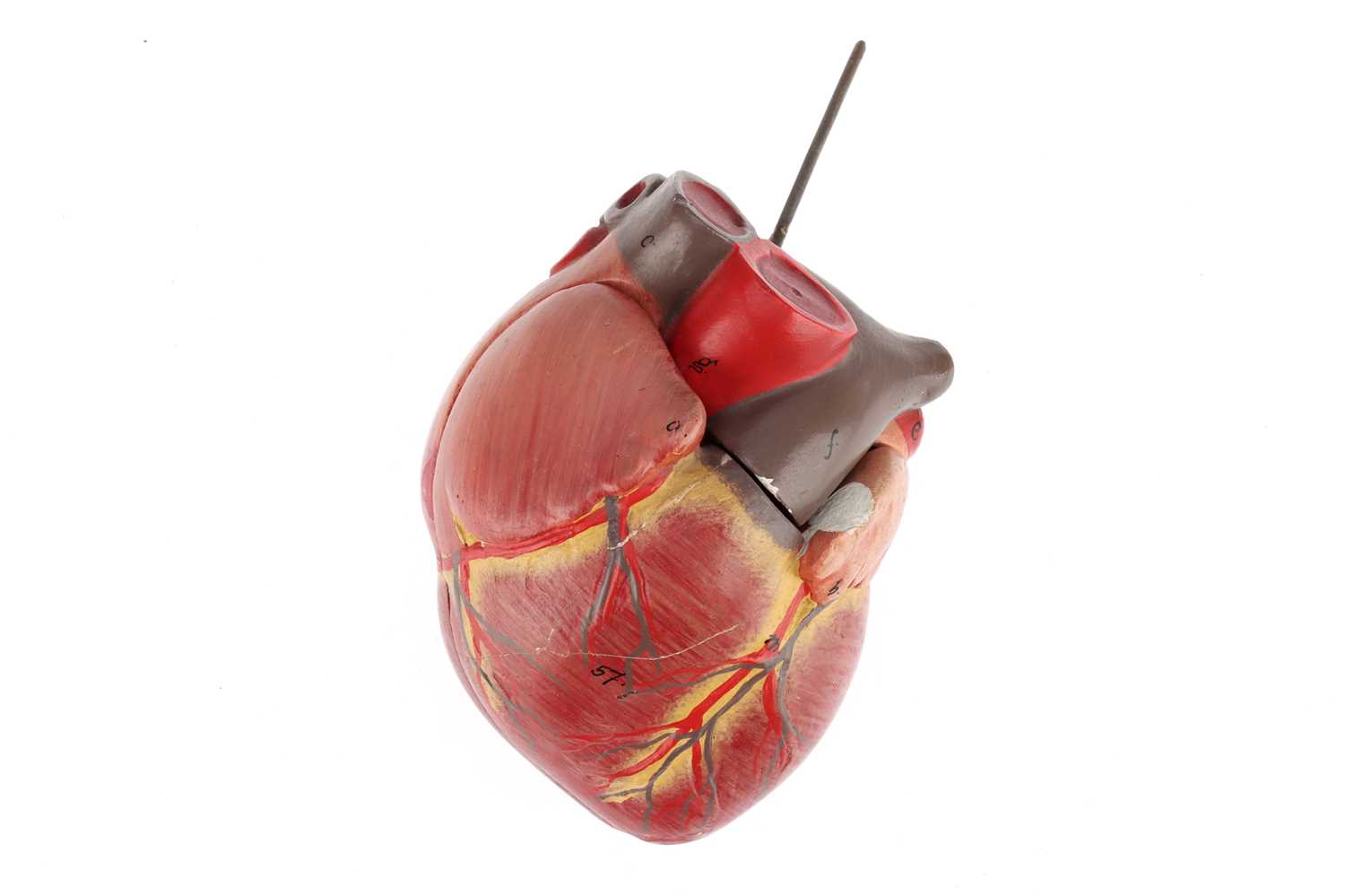 Lot 91 - An Early Mid 20th Century Anatomical Model of the Heart