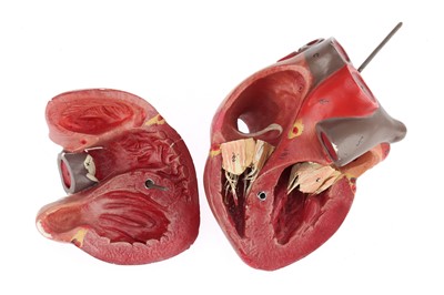 Lot 91 - An Early Mid 20th Century Anatomical Model of the Heart