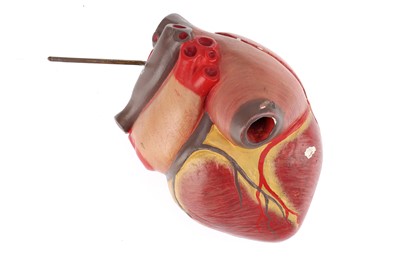 Lot 91 - An Early Mid 20th Century Anatomical Model of the Heart