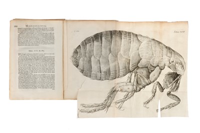 Lot 241 - Hooke, Robert, Micrographia